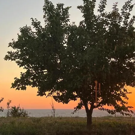For Rent Vacation Krasniqi * Karpen
